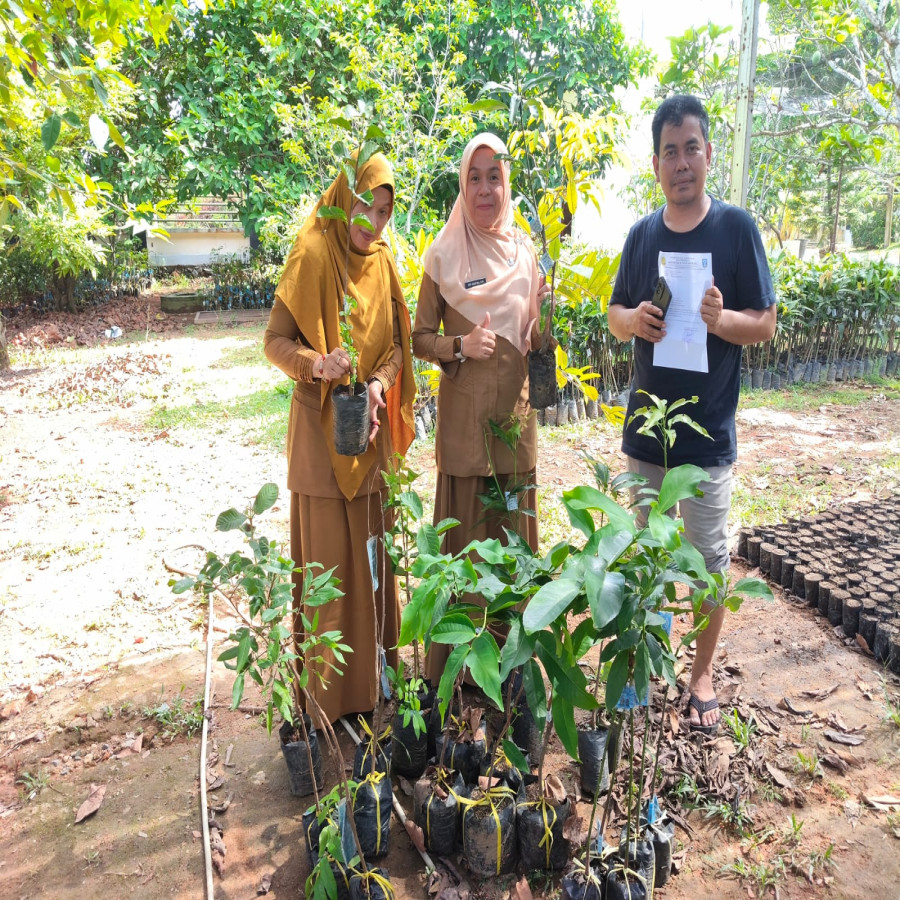 Permintaan Bibit Pohon