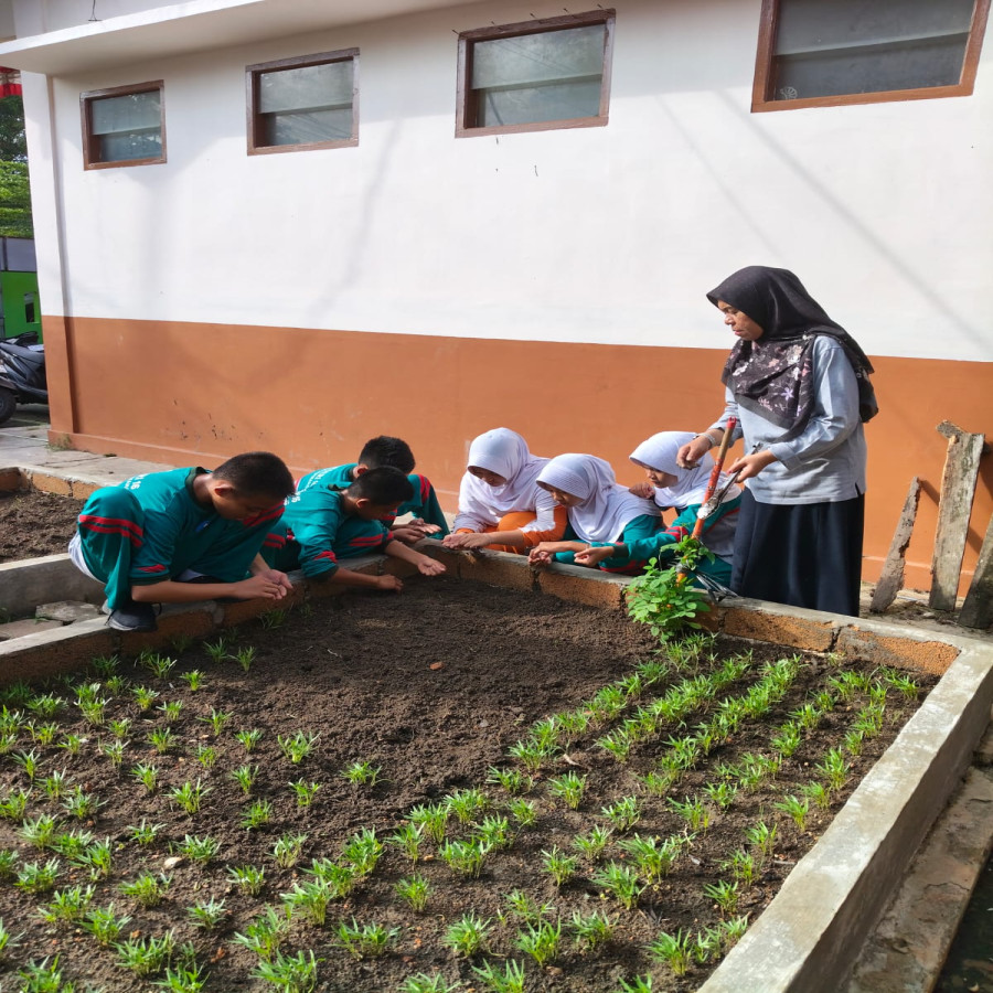 Penanaman Bibit Pohon Kangkung